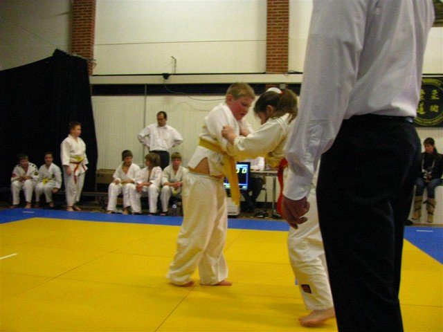 judokampioenschappen van de budoka 2010